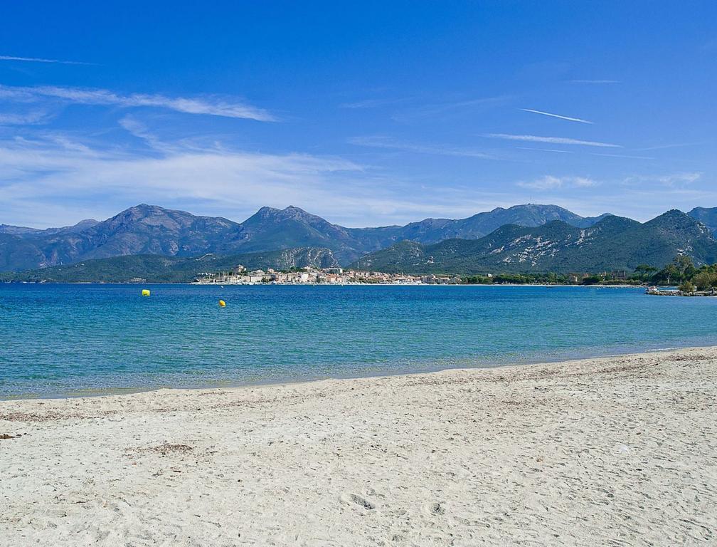 Suarella Saint-Florent (Corsica)
