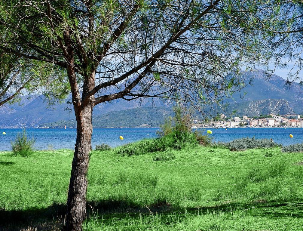 Appartement Suarella Saint-Florent (Corsica)